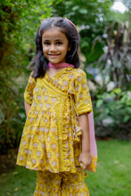 Load image into Gallery viewer, Basant Yellow Mirror Sibling Wear